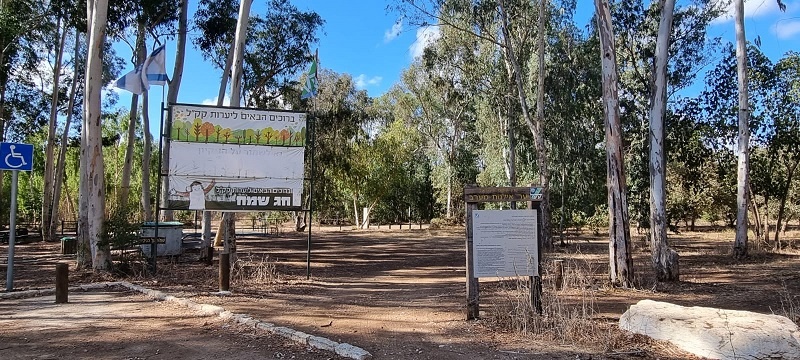 יער האילנות חניון איל"ן וחניון מתן גוטליב