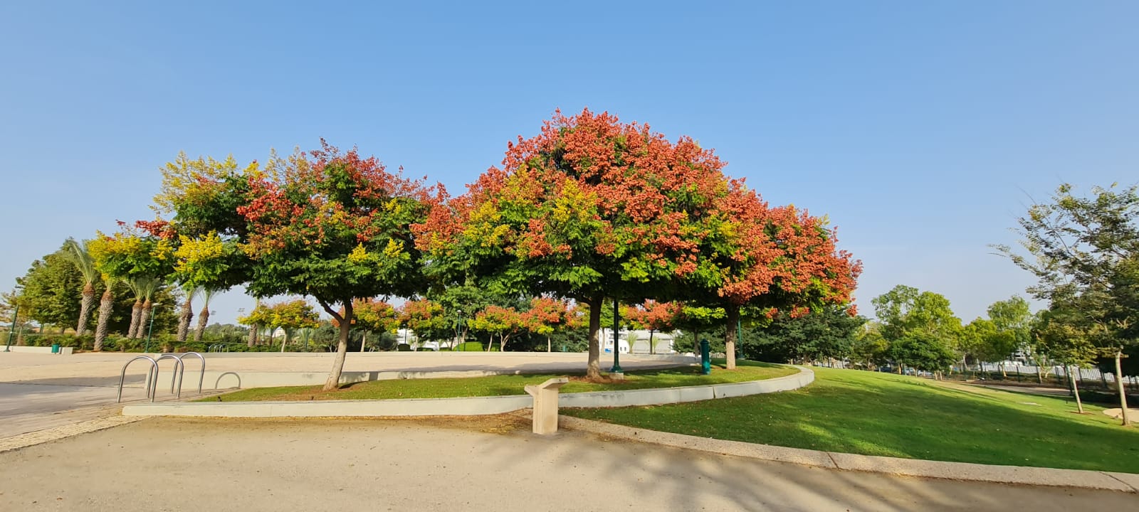פארק עירוני כפר סבא