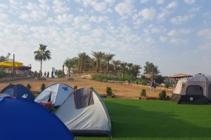 חוף נווה מדבר