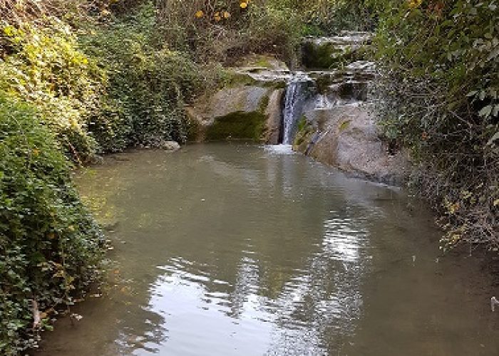 נחל השופט רמות מנשה