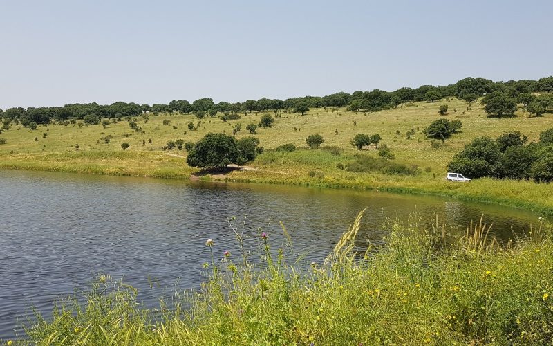 מאגר גלעד רמות מנשה