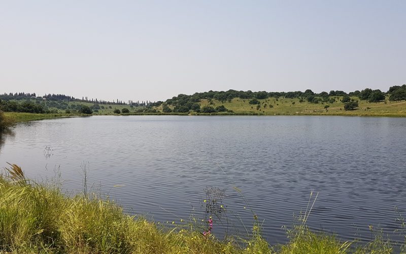 מאגר גלעד רמות מנשה