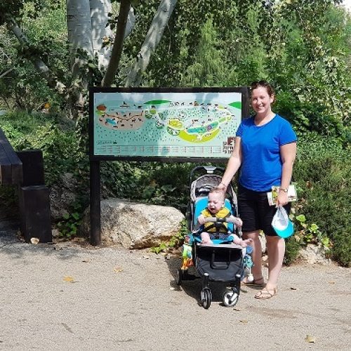 גן החיות התנכי ירושלים