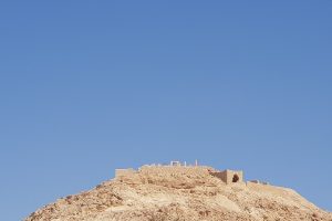 גן לאומי עבדת