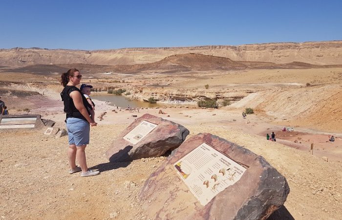 מכתש רמון המנסרה אבן רוח מים הים של מצפה