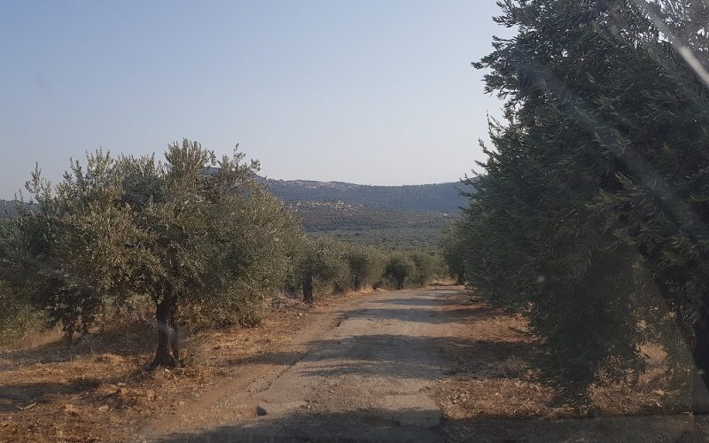 הבריכה הסודית ראמה