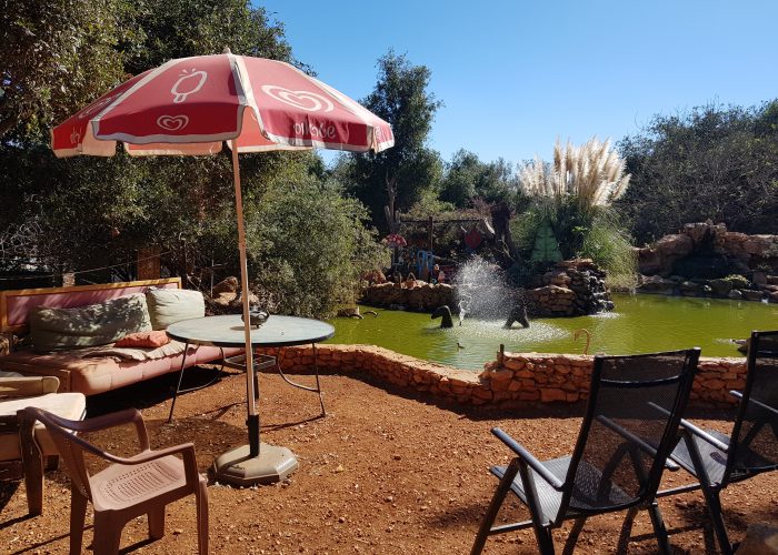 יער הקופים ביודפת