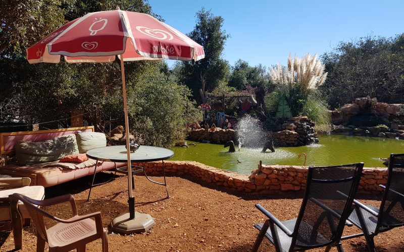 יער הקופים ביודפת