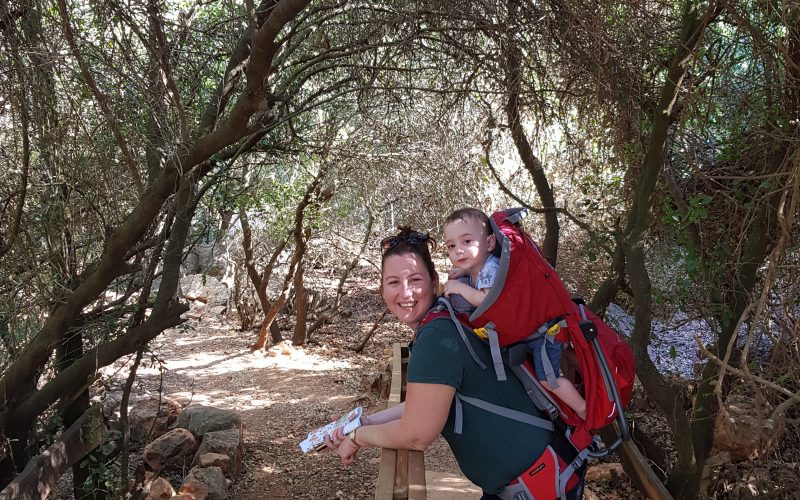 יער הקופים ביודפת