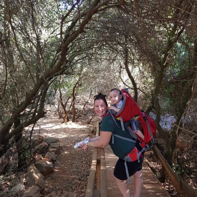 יער הקופית ביודפת