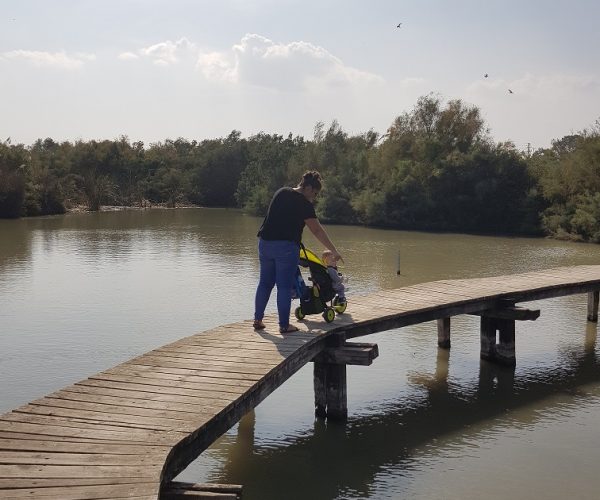 שמורת הטבע עין אפק מסלול ביצות – טיול ליד הבית