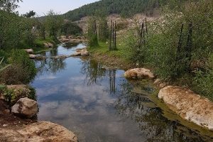 עין יבקע נחל ציפורי