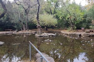 שמורת הטבע נחל דן