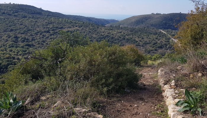 חוות משמר הכרמל