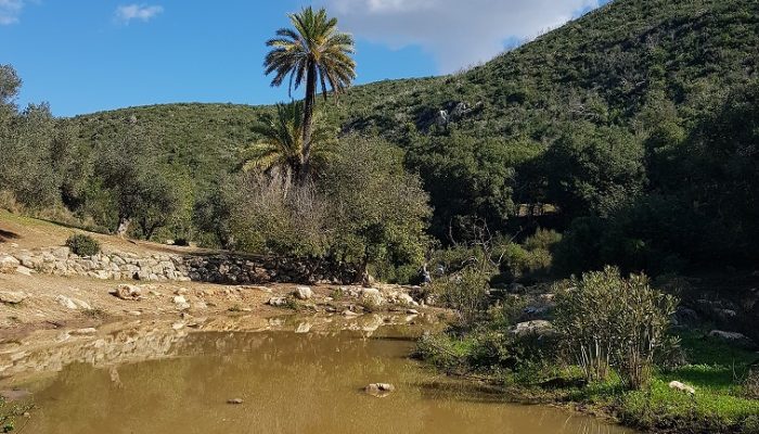האגם הנסתר בנחל אורן יערות הכרמל