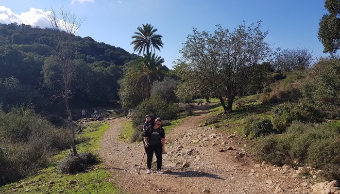 האגם הנסתר בנחל אורן יערות הכרמל