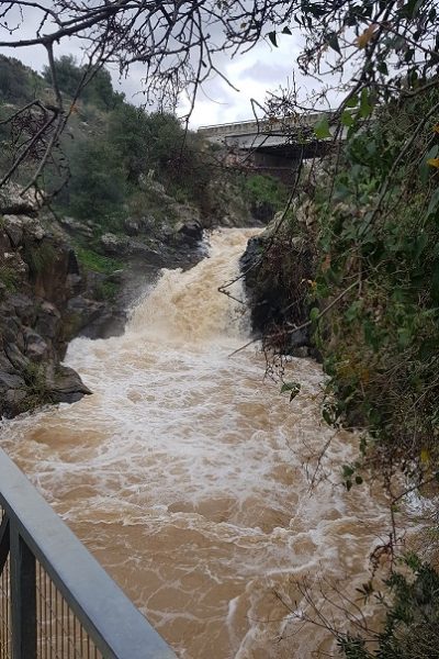 מפל סער רמת הגולן