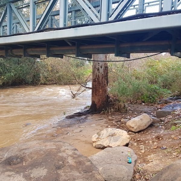נחל שניר חצבני גן הצפון