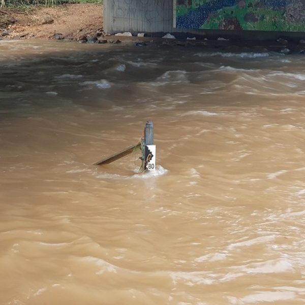נחל שניר חצבני גן הצפון