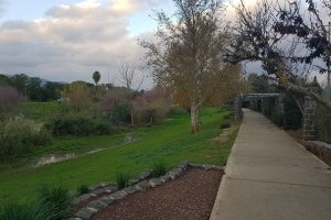 נהר הירדן טיילת בן עמי כפר בלום