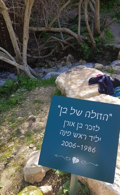 שמורת הטבע נחל ראש פינה