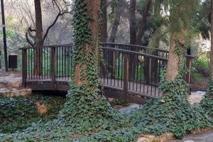 שמורת הטבע נחל ראש פינה