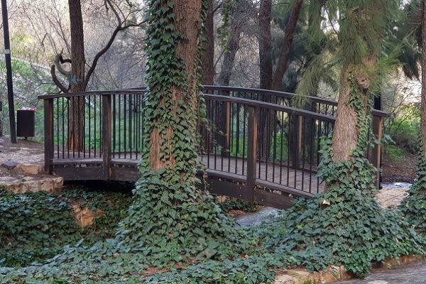 שמורת הטבע נחל ראש פינה