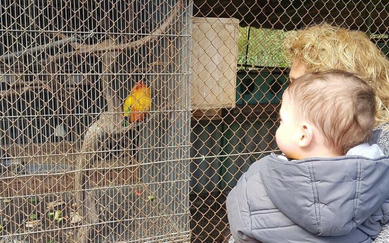 גן וחיות - גן חיות בקיבוץ דגניה א'