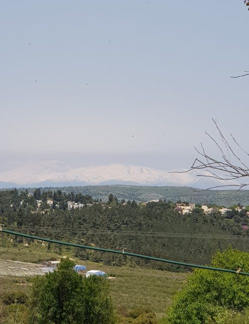 חרמון גן לאומי ברעם
