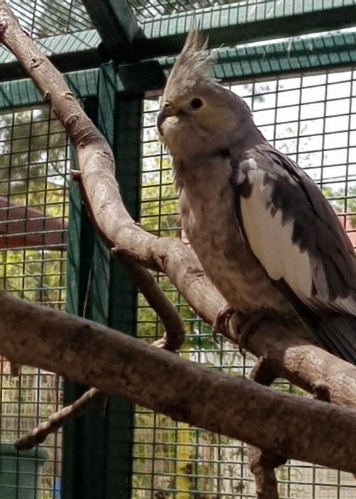 גן בוטני זואולוגי נהריה