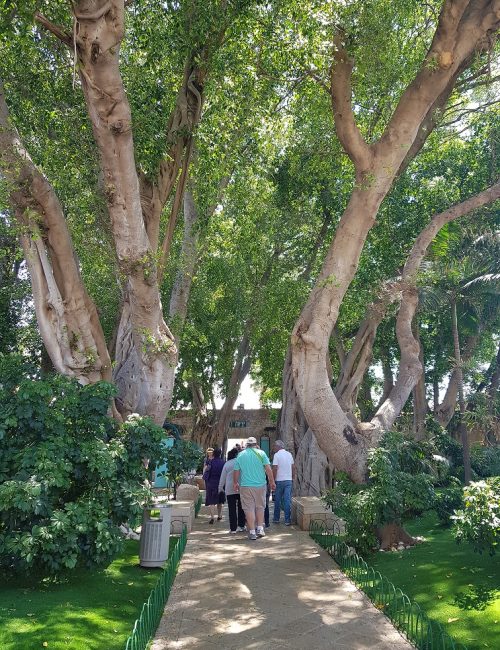 חצי האי עכו העיר העתיקה עכו