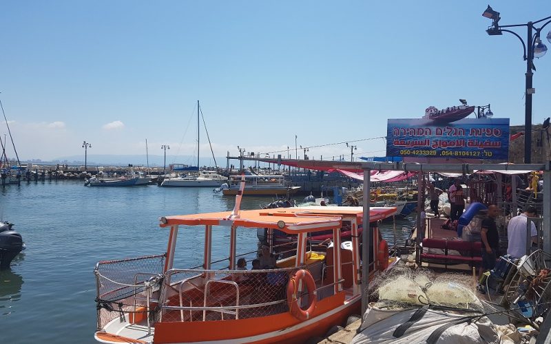 חצי האי עכו העיר העתיקה עכו