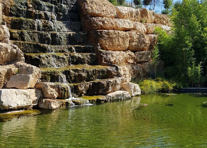 אקווריום ישראל