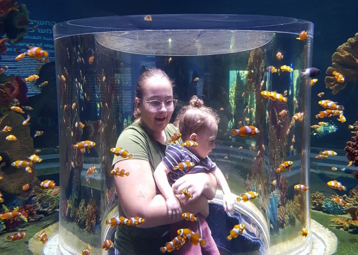 אקווריום ישראל