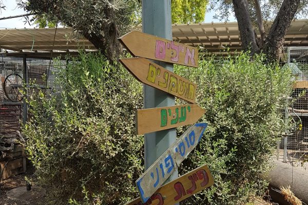 ג'ונגל כיף בית זרע בקעת הירדן