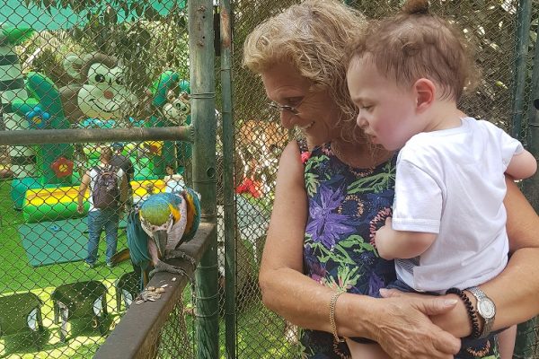 ג'ונגל כיף בית זרע בקעת הירדן