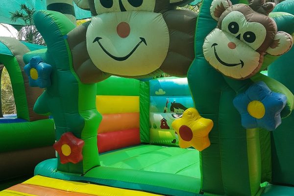 ג'ונגל כיף בית זרע בקעת הירדן