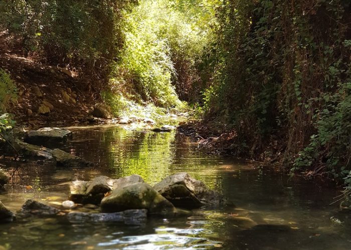 נחל כזיב עין חרדלית
