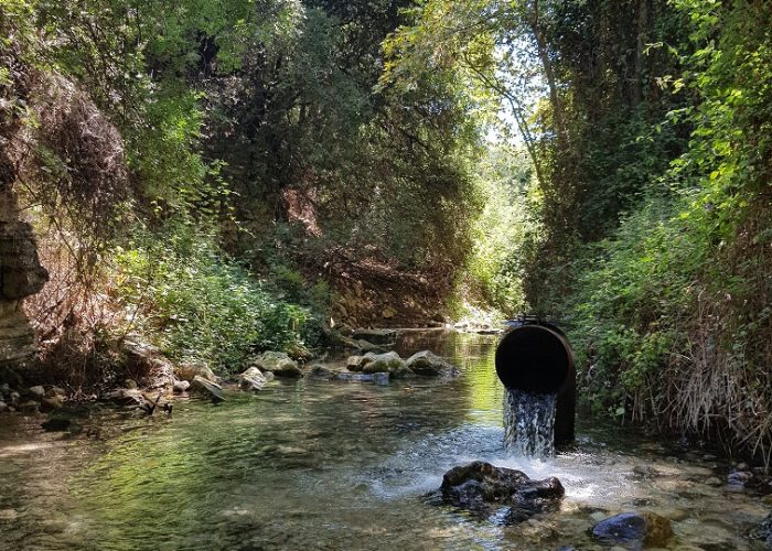 נחל כזיב עין חרדלית