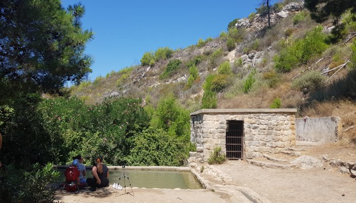 עין אלון – מעיין הנובע בתוך ערוץ נחל אורן