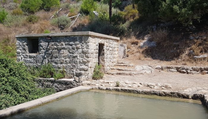 עין אלון – מעיין הנובע בתוך ערוץ נחל אורן