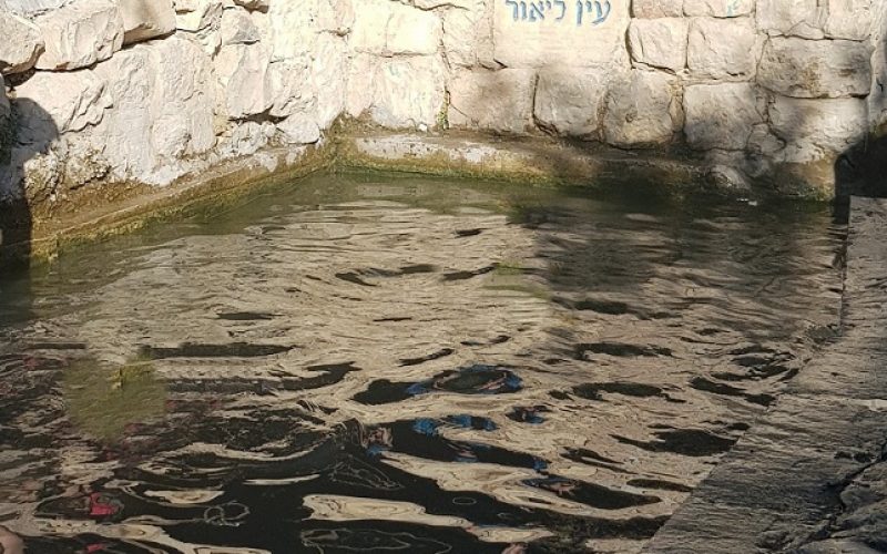 עין ליאור - מעיין בצפת