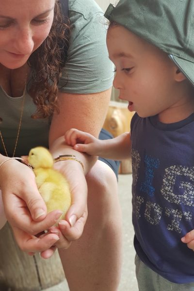 ברווזים בכפר – מרכז מבקרים לכל המשפחה