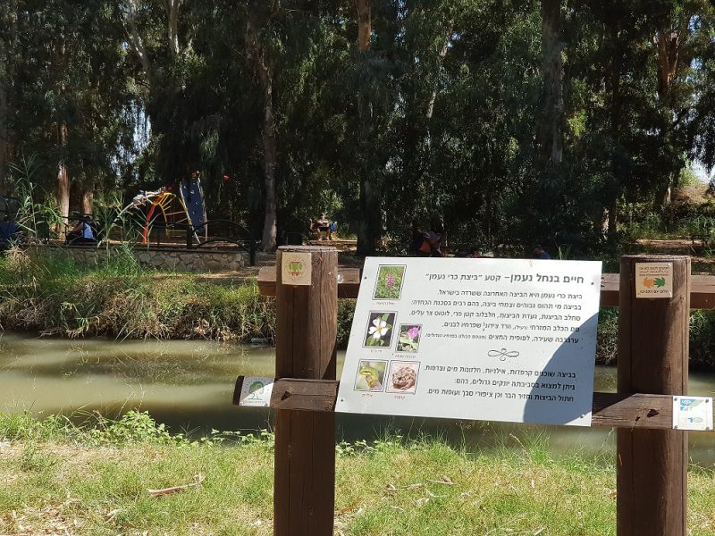 שביל נחל נעמן – טיול מונגש לעגלות לצד הנחל