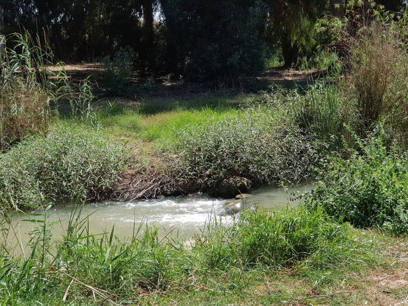 שביל נחל נעמן – טיול מונגש לעגלות לצד הנחל