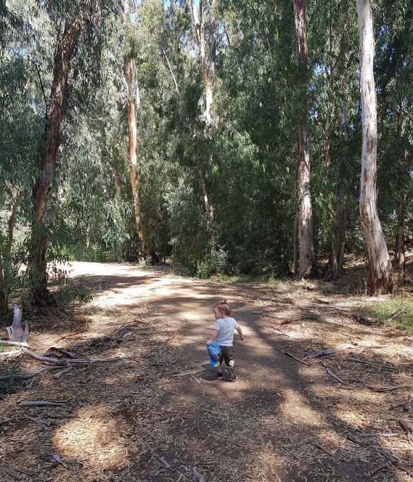 שביל נחל נעמן – טיול מונגש לעגלות לצד הנחל