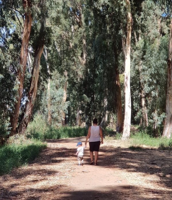 שביל נחל נעמן – טיול מונגש לעגלות לצד הנחל