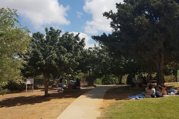 נחל אלכסנדר – פארק צבי הנחל