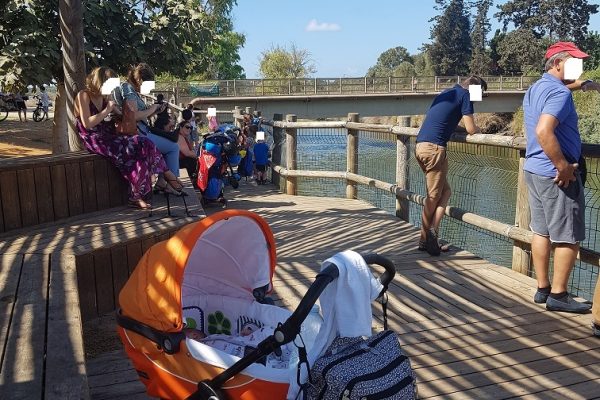 נחל אלכסנדר – פארק צבי הנחל