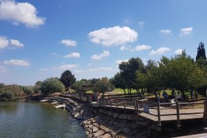 נחל אלכסנדר – פארק צבי הנחל